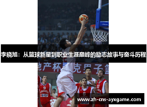 李晓旭:从篮球新星到职业生涯巅峰的励志故事与奋斗历程